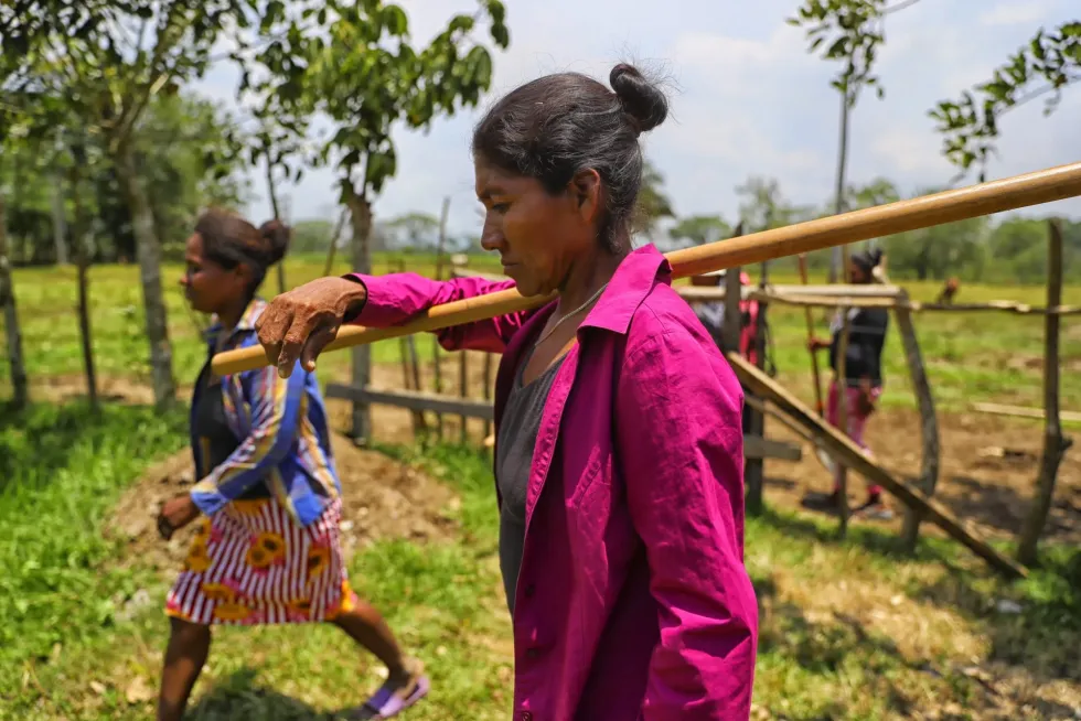 Mujeres de la comunidad cargando varas de madera para construir una cerca