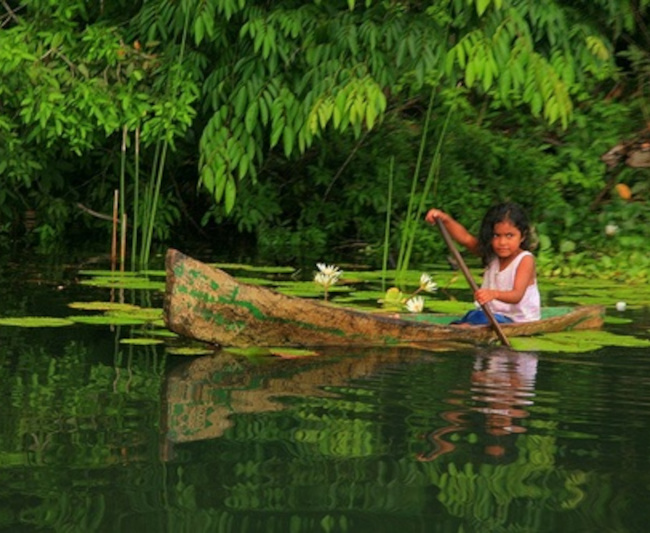 Niña remando en canoa entre plantas acuáticas